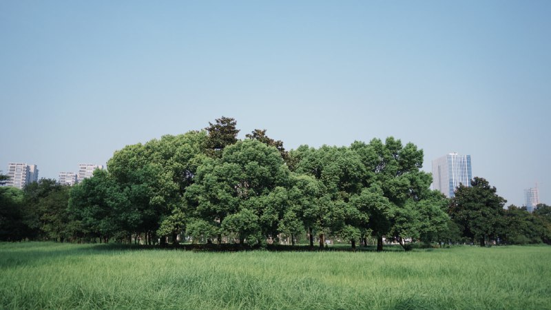 2024/9/1 杭州2024/9/1 杭州